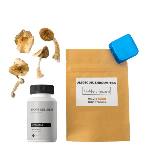 First Timer Magic Mushroom Kit